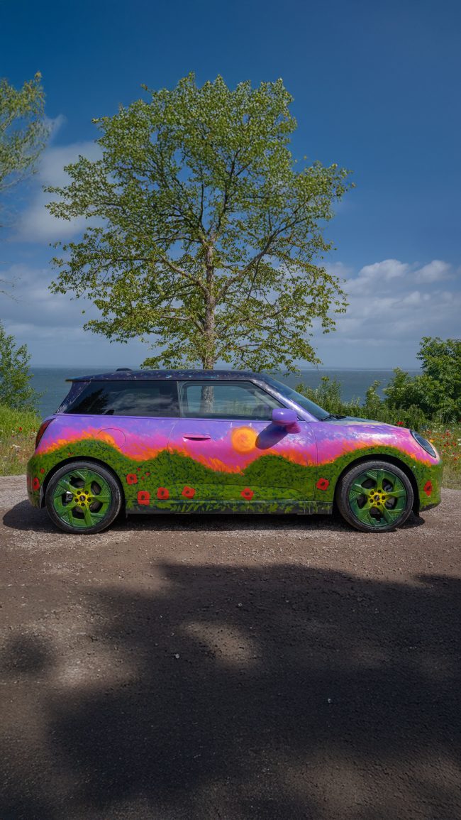 The MINI Art Car by Robert Möllard and Madelen Möllard in profile, a painted Nordic landscape with poppies, green fields and a purple sky covering a MINI Cooper, parked by the sea